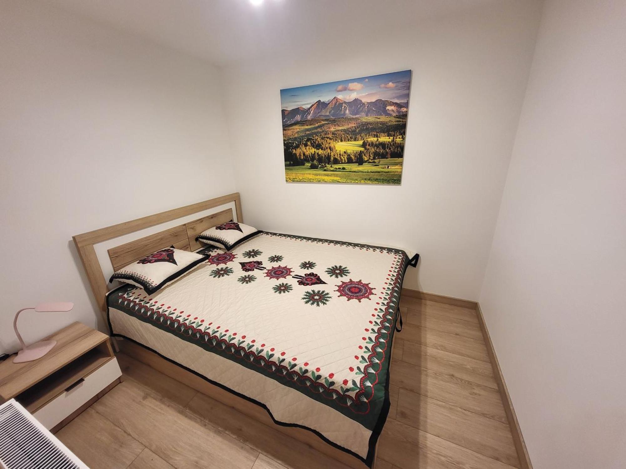 Apartament Chycow Potok ザコパネ エクステリア 写真