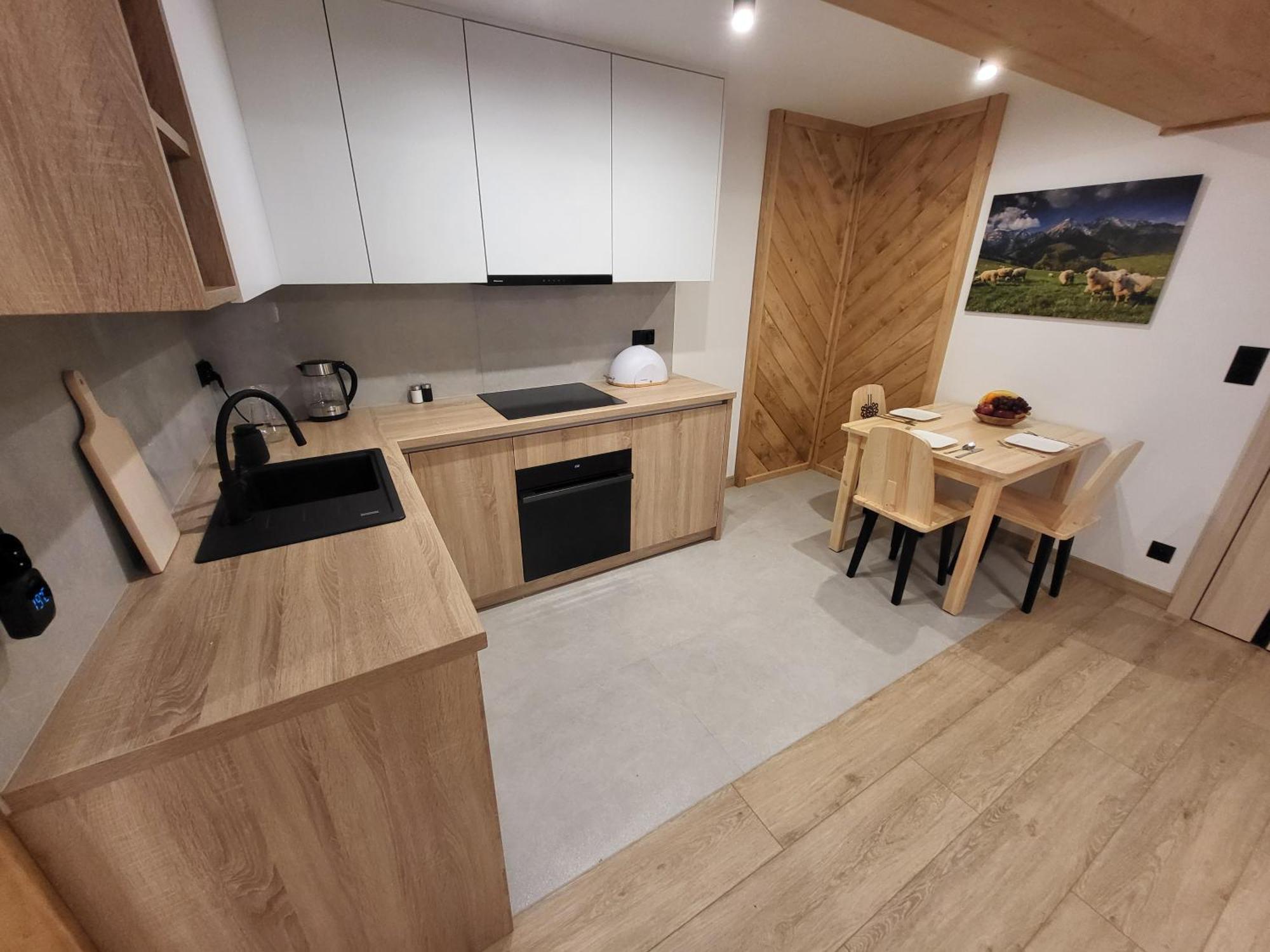 Apartament Chycow Potok ザコパネ エクステリア 写真